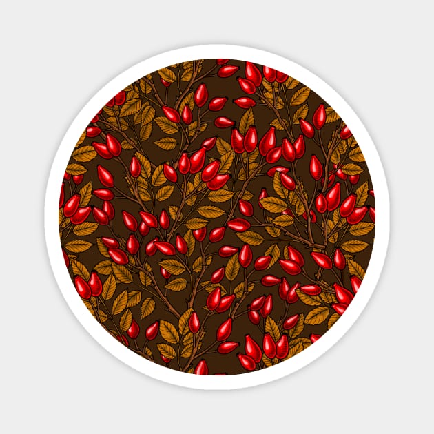 Rose hips 2 Magnet by katerinamk